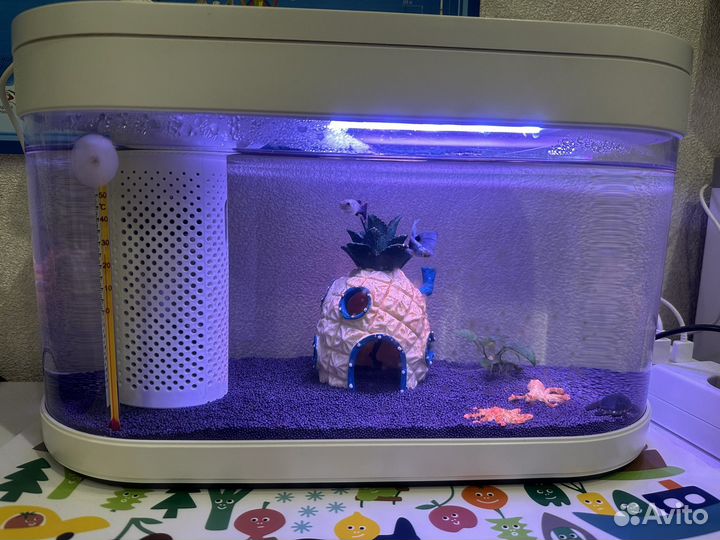 Аква-ферма Xiaomi