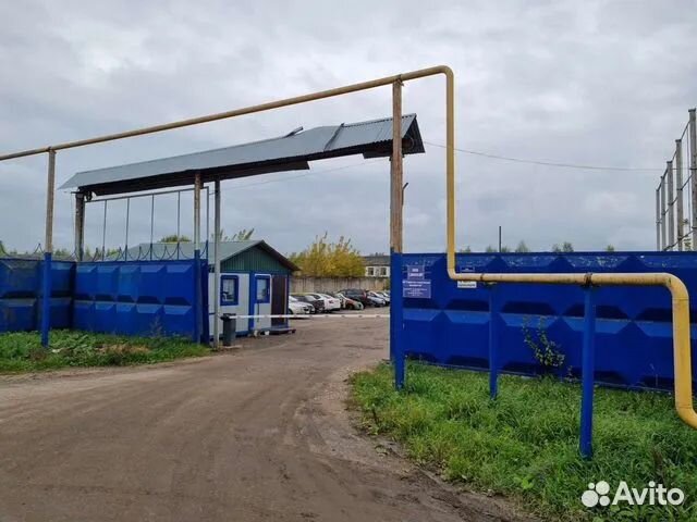 Шпаклевка шитрок