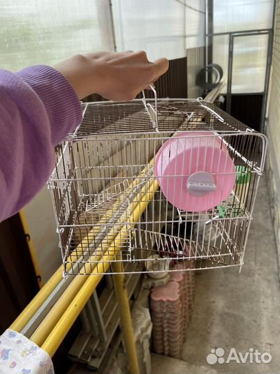 Клетка для хомяка