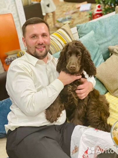 Грузоперевозки Ярославль-Москва