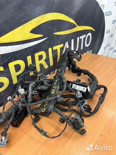 Проводка двс Kia K5 DL3 G4FP 2019-2023