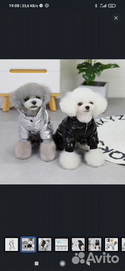 Зимний комбинезон новый для собаки