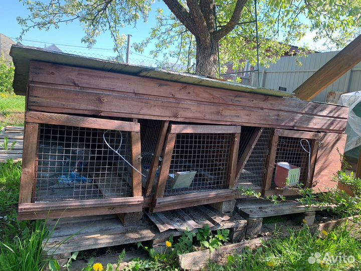 Клетка для кроликов с маточником