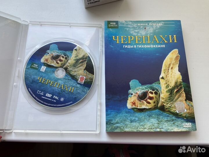 Диск dvd