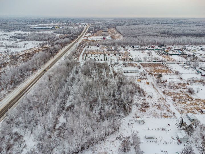 Участок 36,9 сот. (СНТ, ДНП)