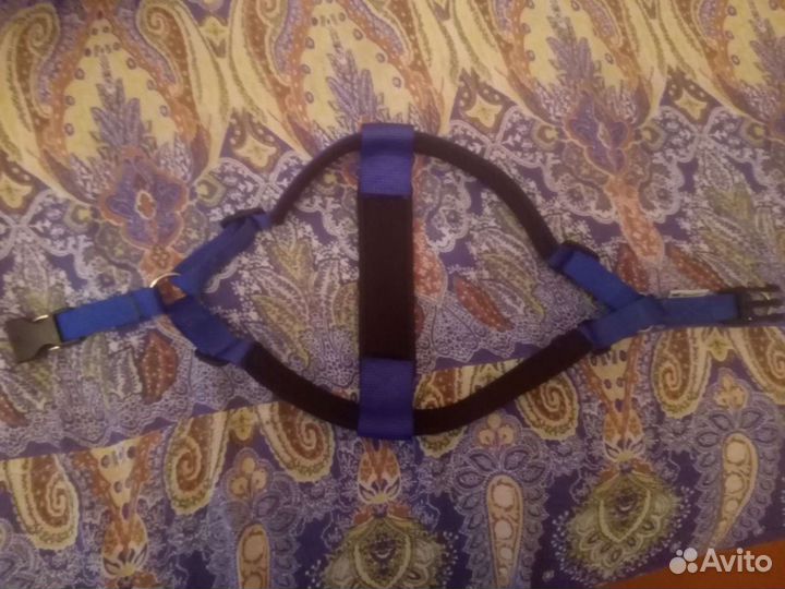 Шлейка для собак