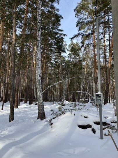 Участок 10 сот. (ИЖС)