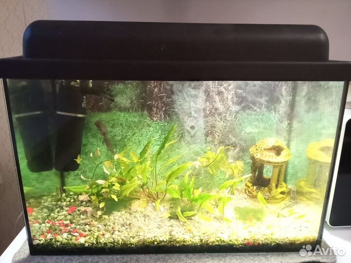 Аквариум