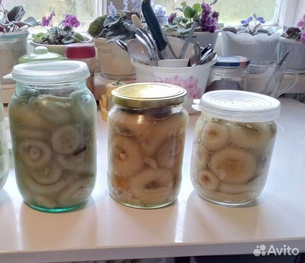 Грузди соленые