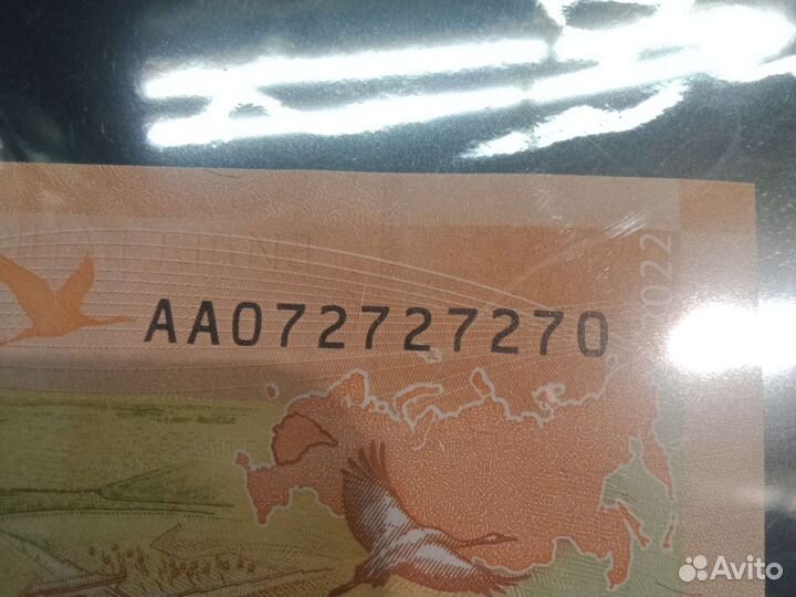 Ржев. Красивый номер. Зеркальный номер. Радар