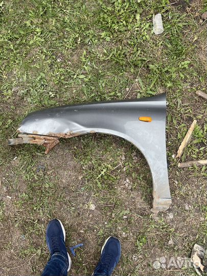 Крыло калина 1