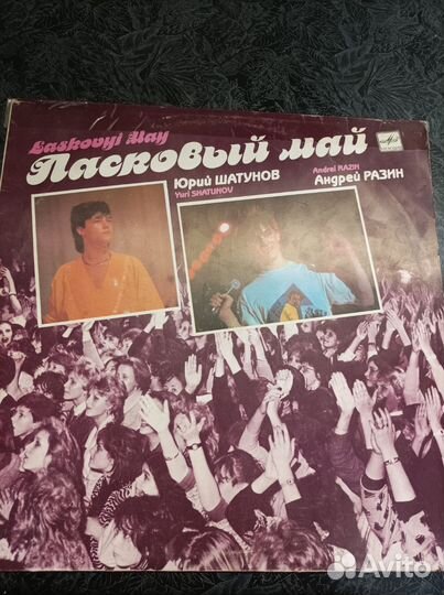 Виниловая пластинка