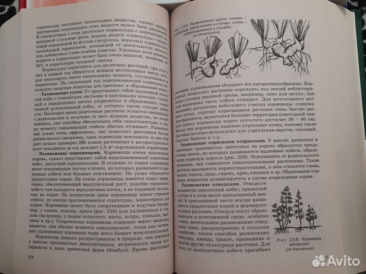 Учебник по биологии