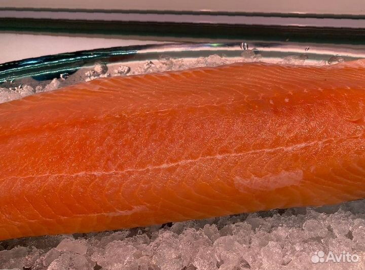 Лосось филе слабосолённый. Опт