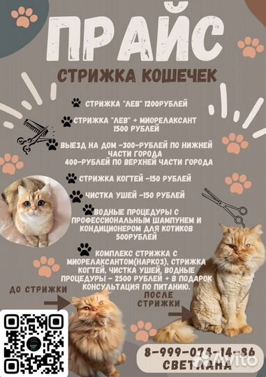 Уход за животными