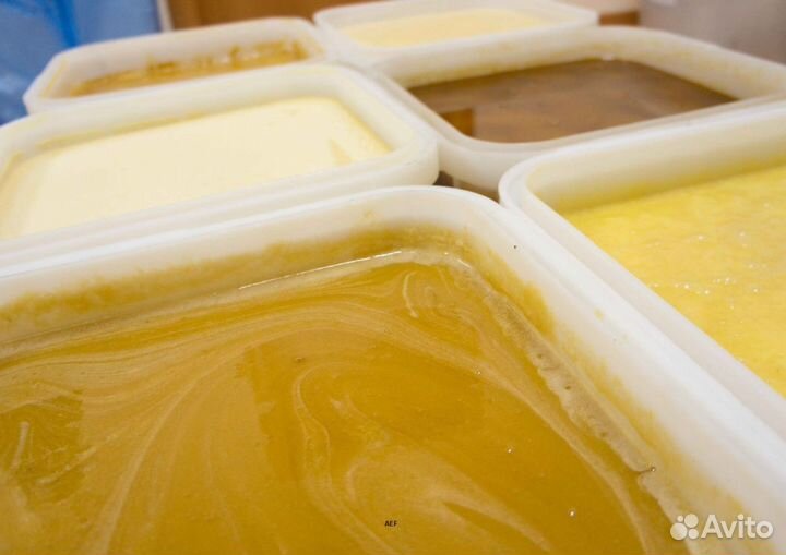 2024 Мёд натуральный из Алтая опт