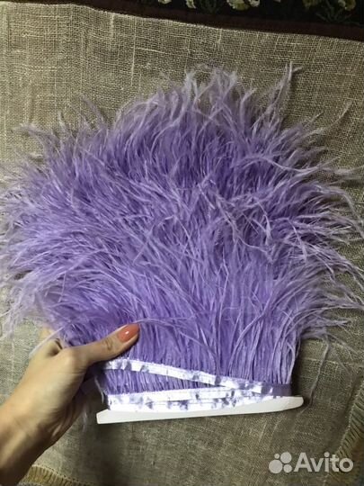 Перья на ленте, Лаванда