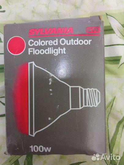 Sylvania colored outdoor floodlight