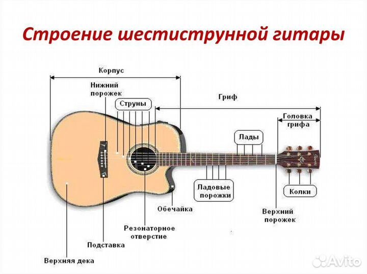 Учитель по гитаре