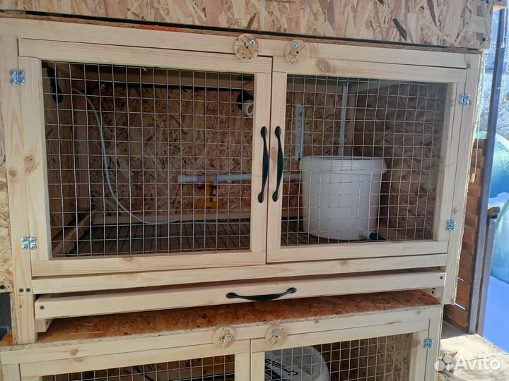 Брудер для цыплят