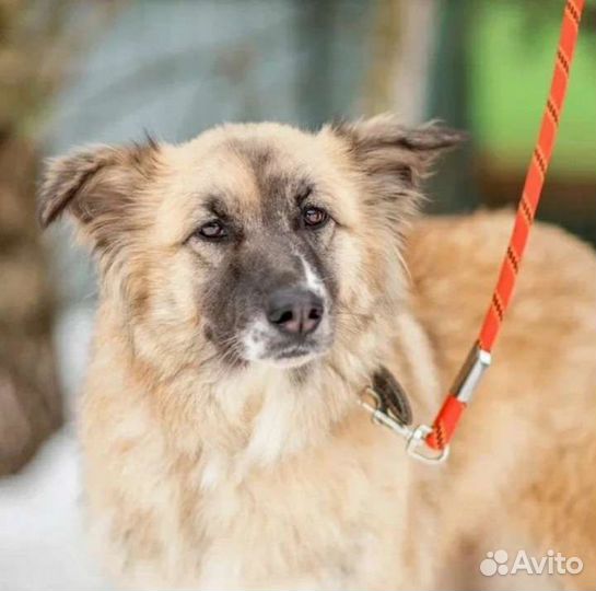 Злата нуждается в теплоте и ласке