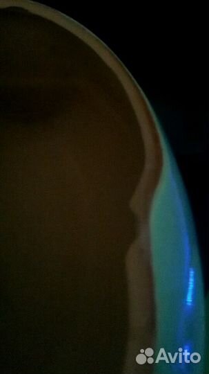 Форма для запекания бычок