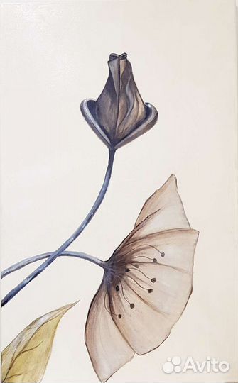 Интерьерная картина Цветы-Вуаль