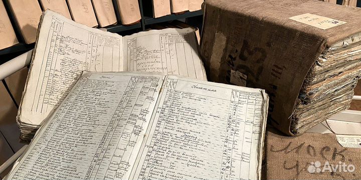 Генеалогия