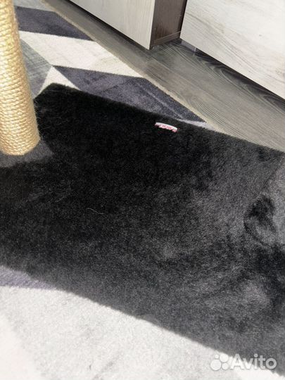 Когтеточка лежанка домик для кошки