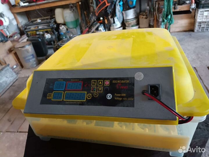 Инкубатор для яиц автоматический бу