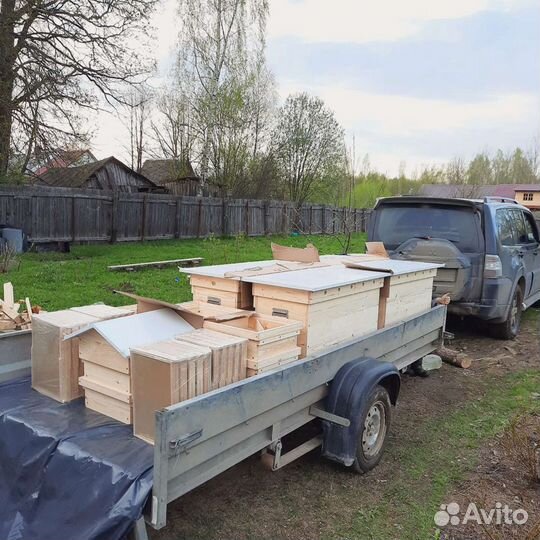 Украинский улей