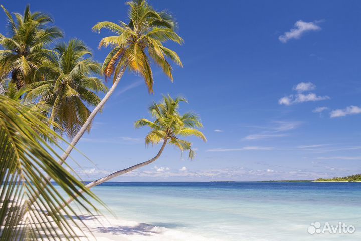 Мальдивы тур 7-9 ночей