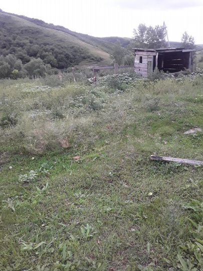 Участок 15 сот. (ИЖС)