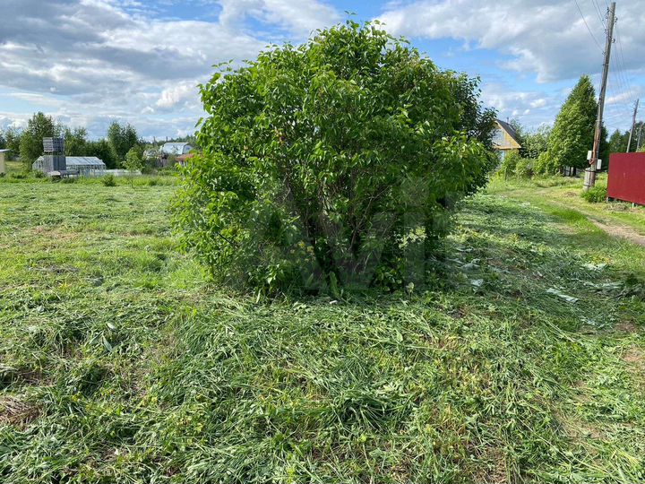 Участок 16,9 сот. (ИЖС)