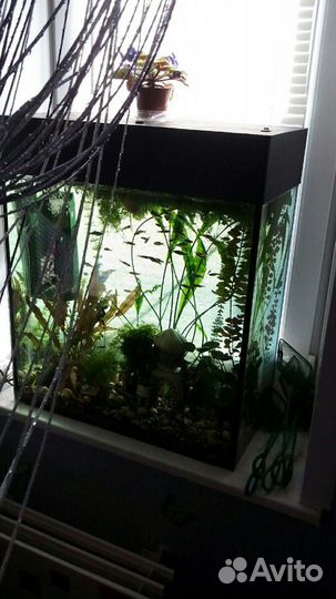 Аквариум 150л