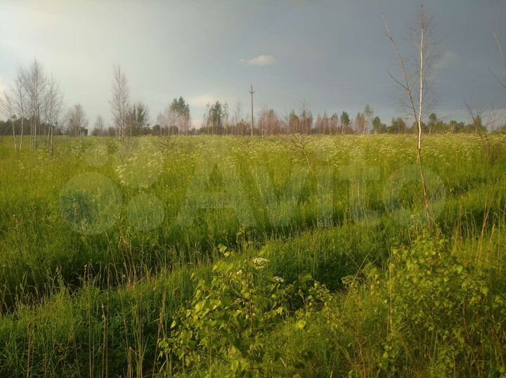 Участок 25 сот. (ИЖС)