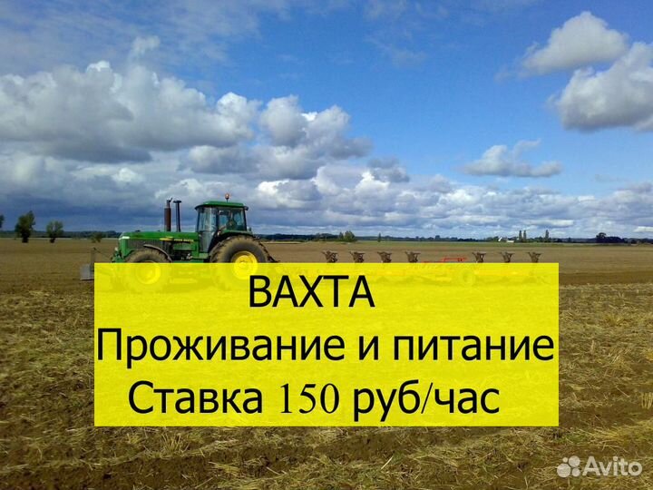 Тракторист Вахта 30, 45 смен 18+