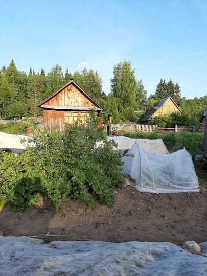 Участок 5 сот. (СНТ, ДНП)