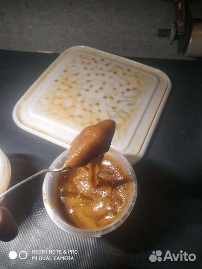 Мед темный разнотравье Горный Алтай июнь 2022 год