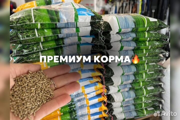 Комбикорма оптом для птиц