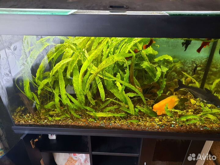 Украшение для аквариума