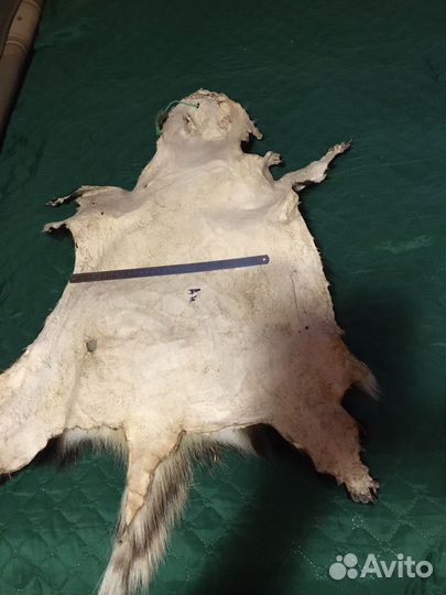 Шкура - коврик