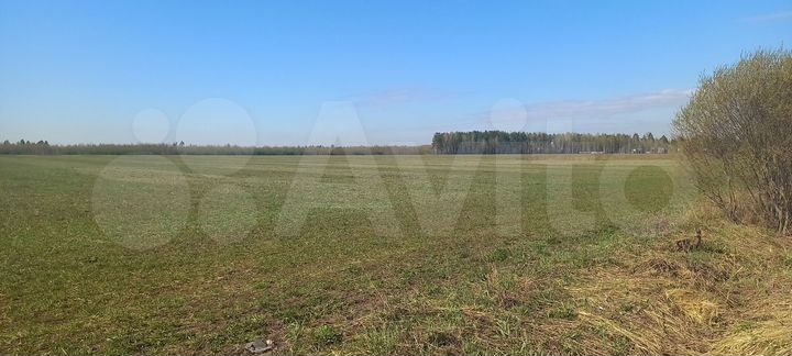 Участок 8 сот. (СНТ, ДНП)