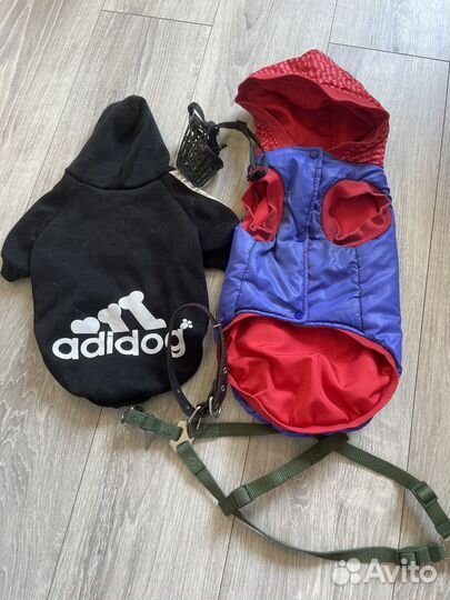 Одежда для бигля XL 3-6 месяцев