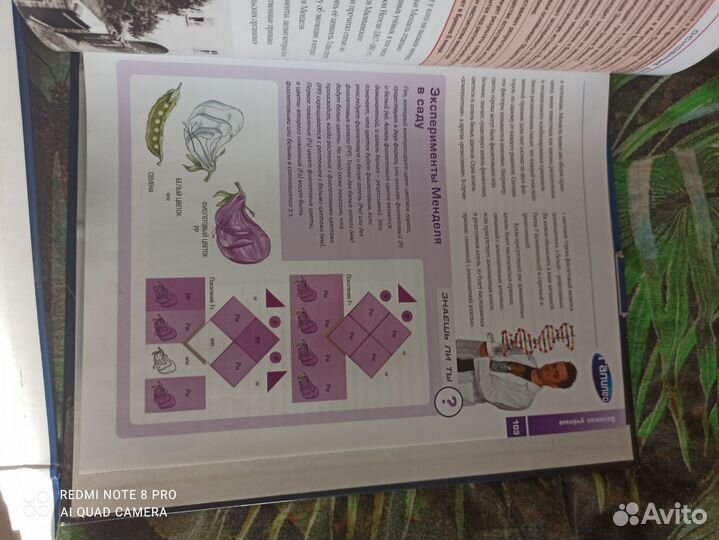 Журналы Галилео