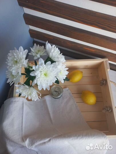 Ящик (поднос)