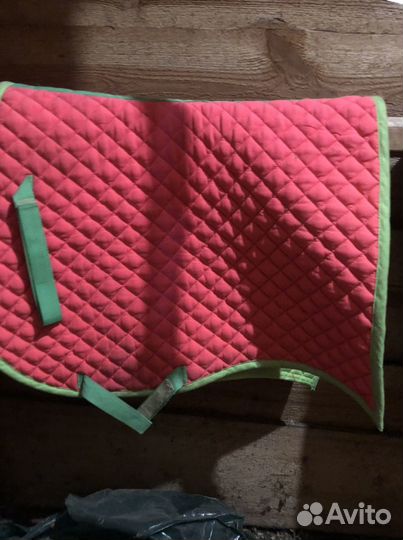 Мартингал, бинты каска вальтрап