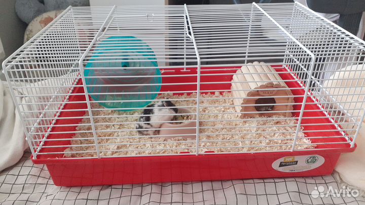 Клетка для хомяка