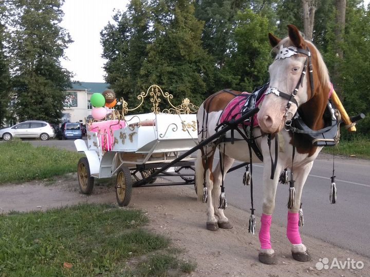 Фаэтон для лошади