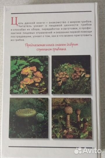 Справочник Все о грибах